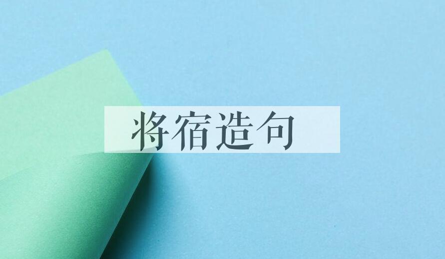 用将宿造句