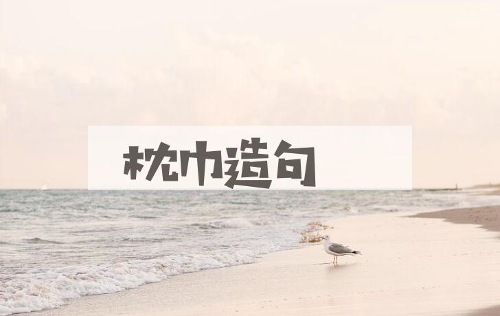 用枕巾造句