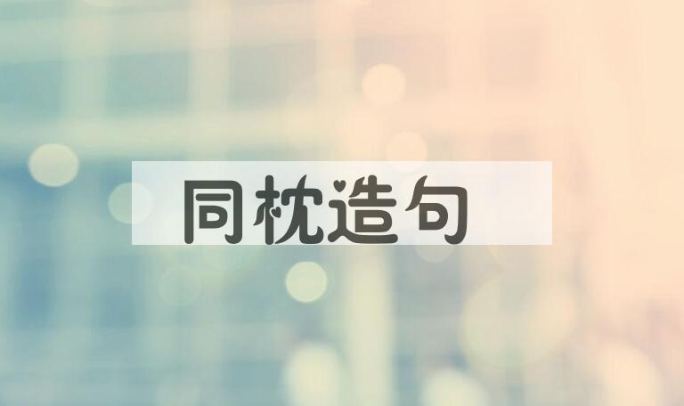 用同枕造句