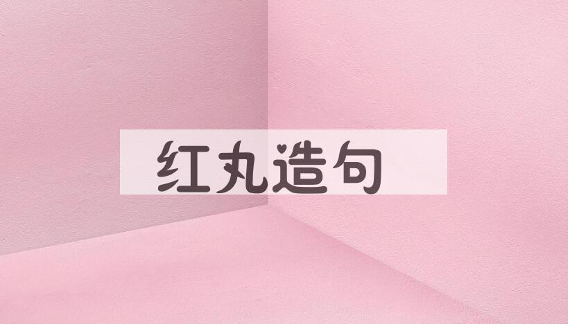 用红丸造句