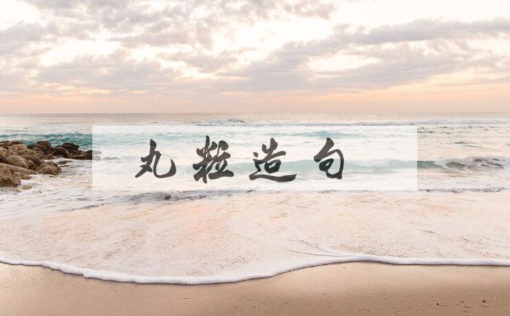 用丸粒造句