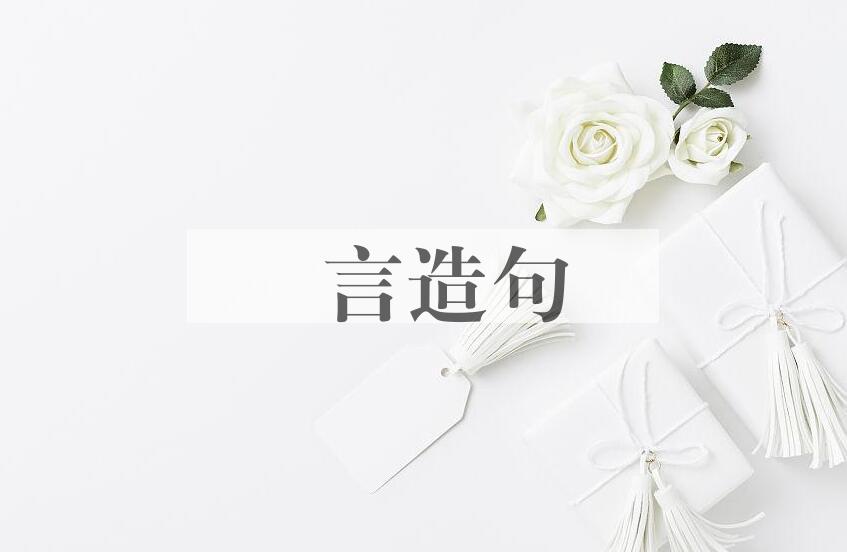 用訞言造句