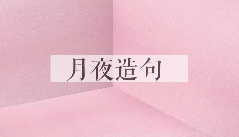 用月夜造句