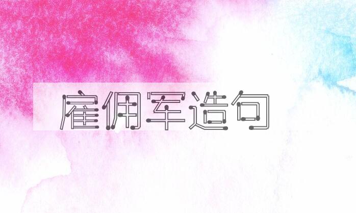 用雇佣军造句