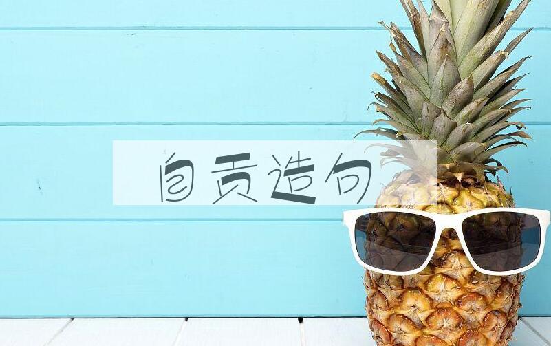 用自贡造句