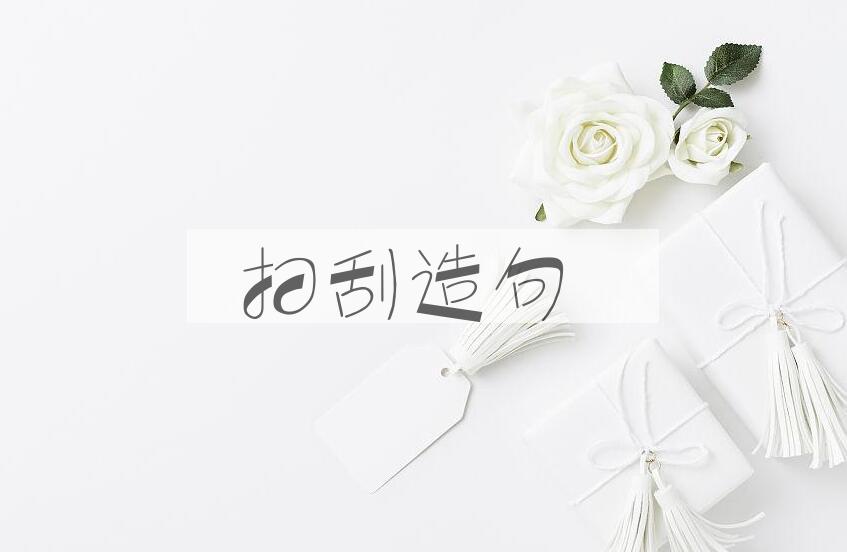 用扫刮造句