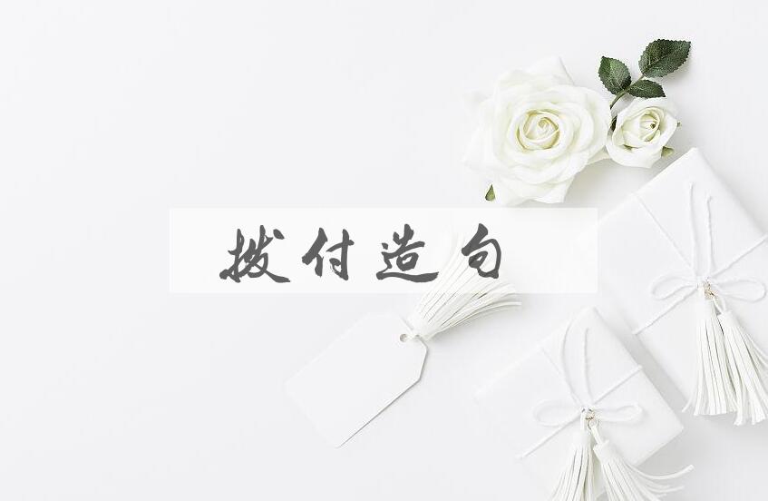 用拨付造句