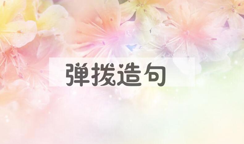 用弹拨造句