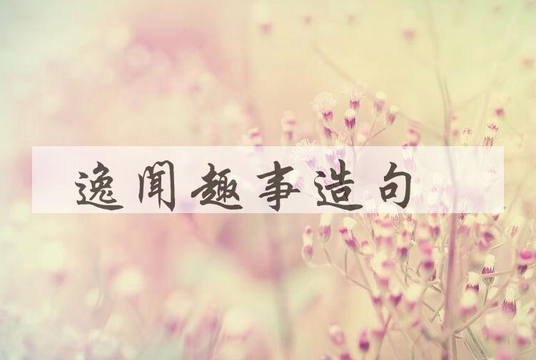 用逸闻趣事造句