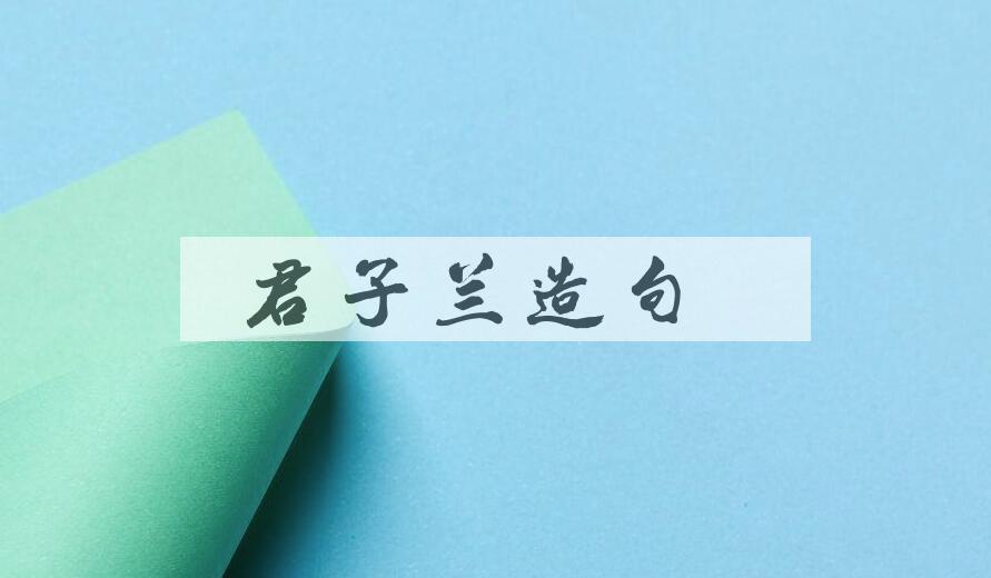 用君子兰造句