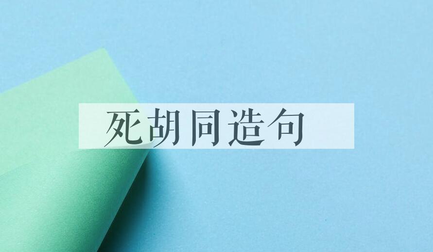用死胡同造句
