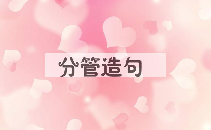 用分管造句