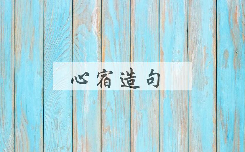 用心宿造句