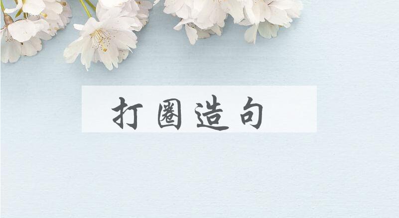 用打圈造句