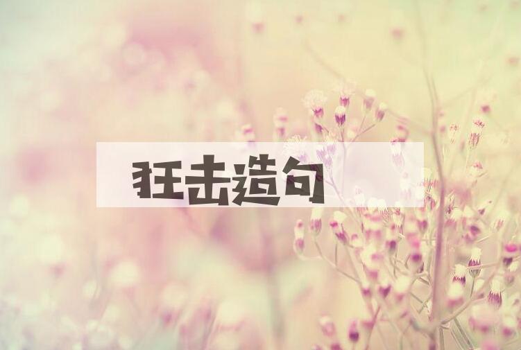 用狂击造句