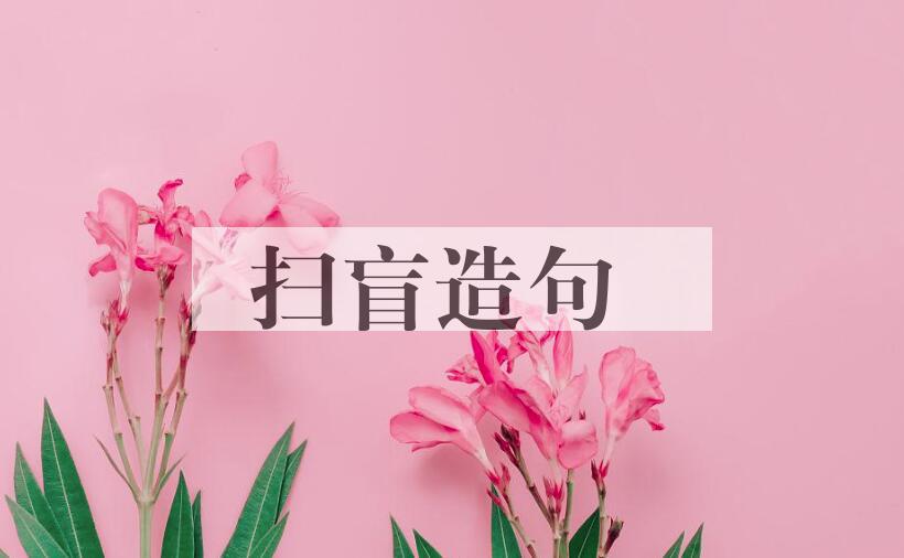用扫盲造句