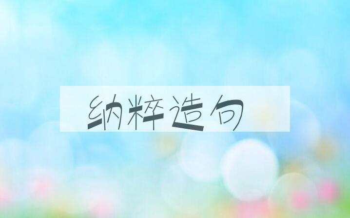 用纳粹造句