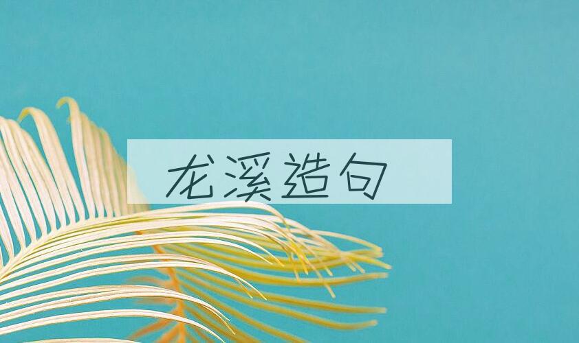 用龙溪造句