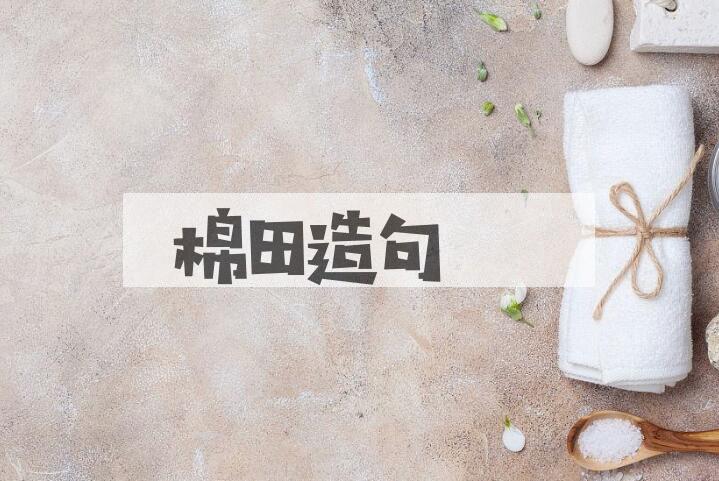 用棉田造句