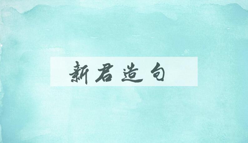 用新君造句