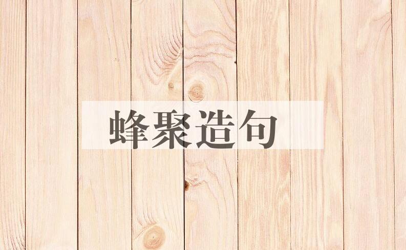 用蜂聚造句
