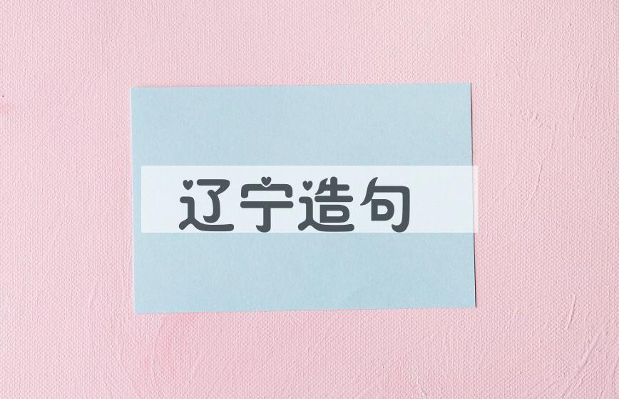 用辽宁造句