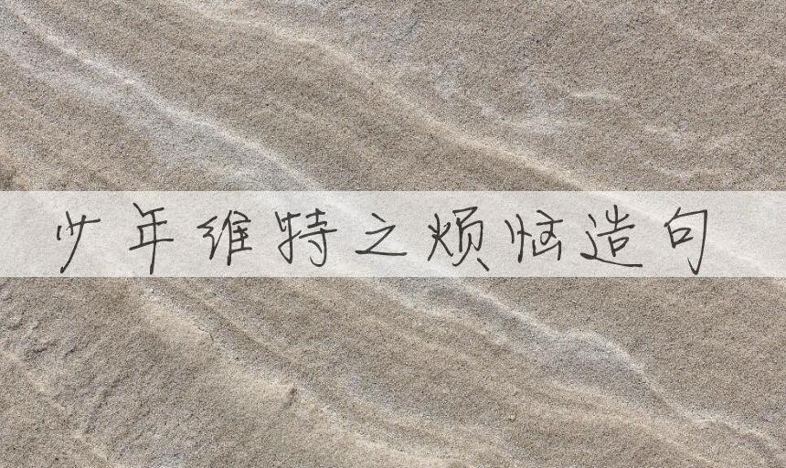 用少年维特之烦恼造句