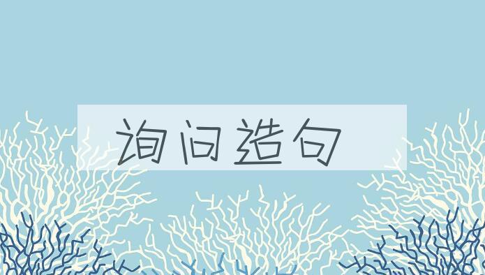 用询问造句