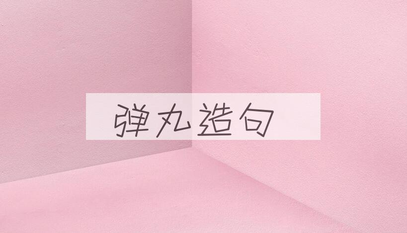 用弹丸造句