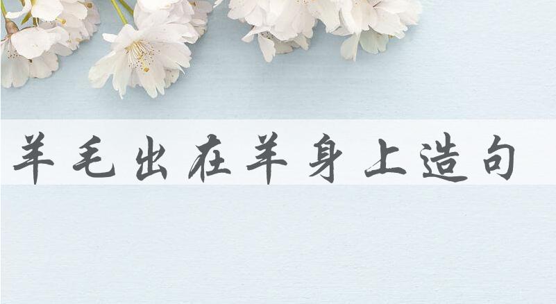 用羊毛出在羊身上造句