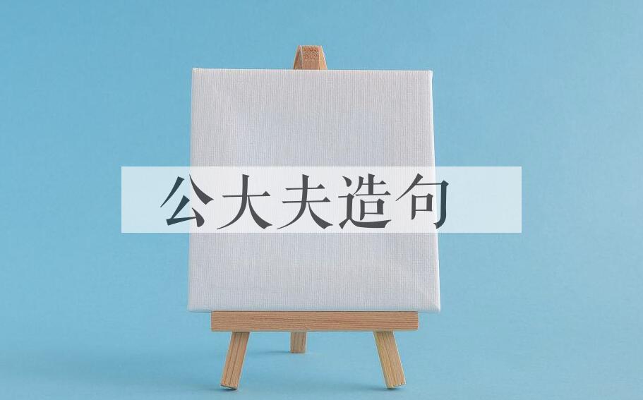 用公大夫造句