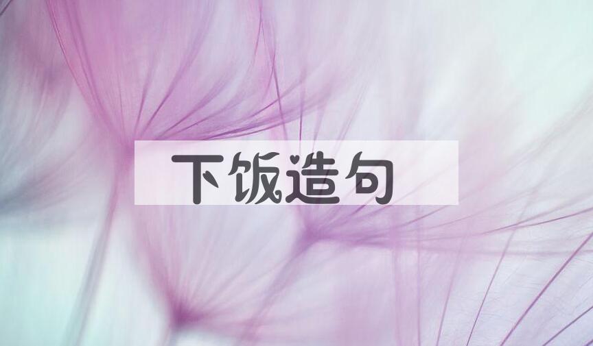 用下饭造句