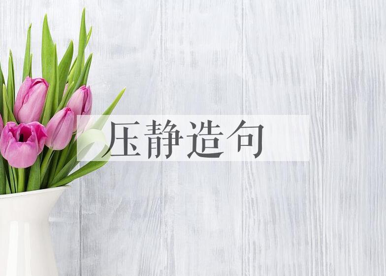 用压静造句