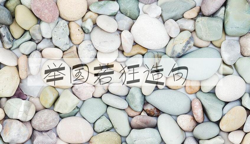 用举国若狂造句