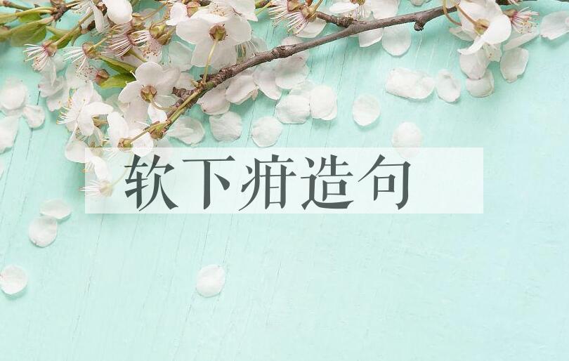 用软下疳造句
