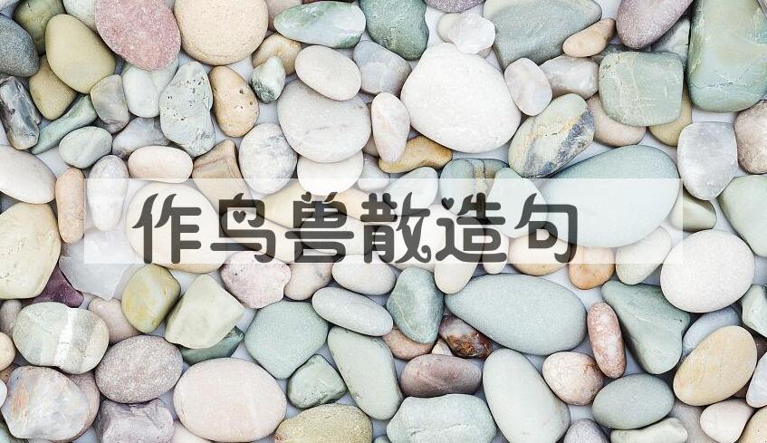用作鸟兽散造句