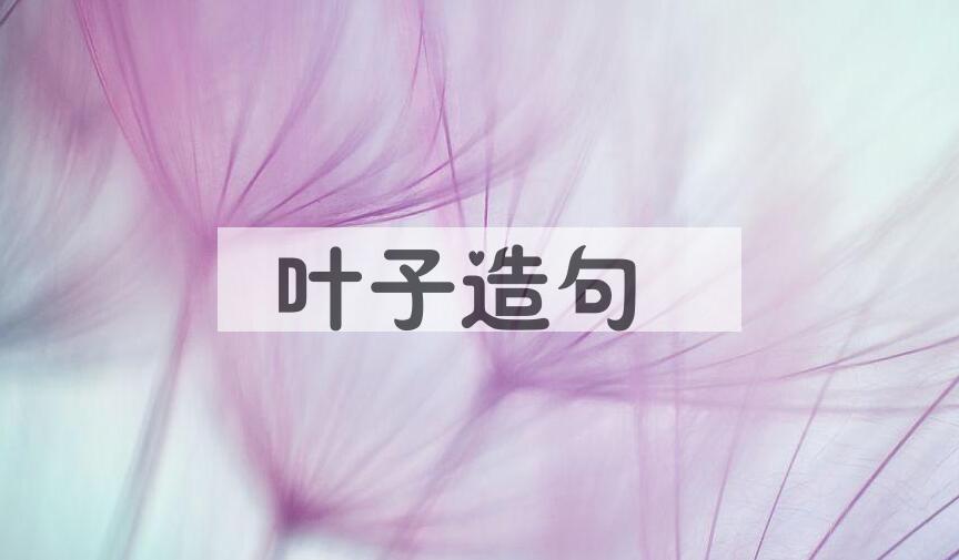 用叶子造句