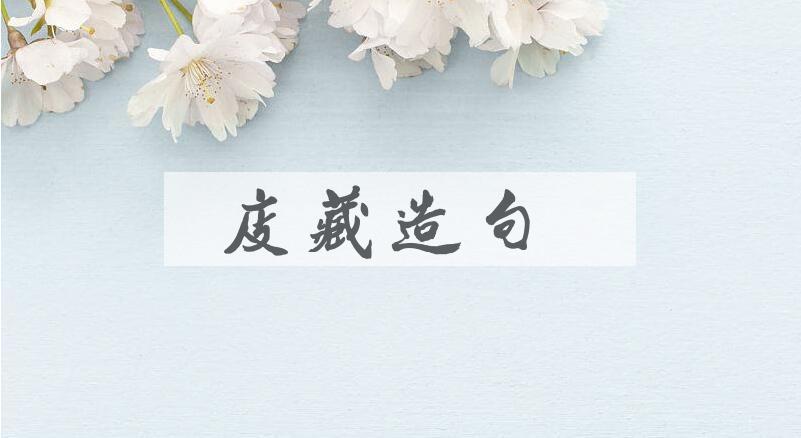 用庋藏造句