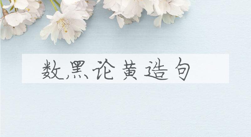 用数黑论黄造句