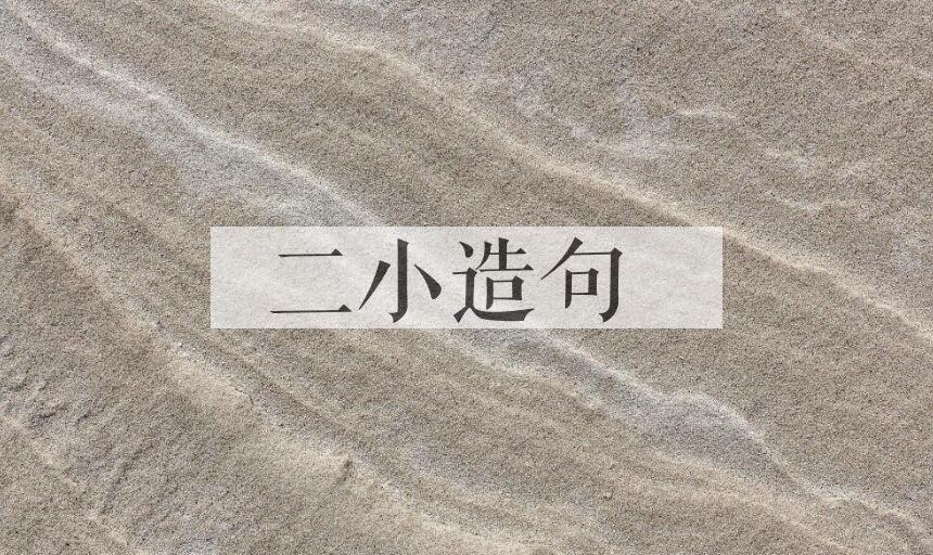 用二小造句
