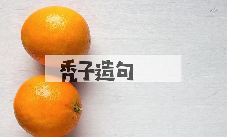 用秃子造句