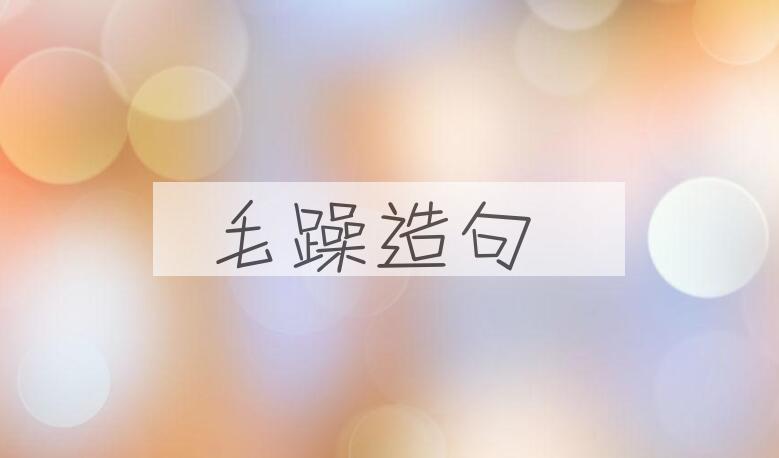 用毛躁造句