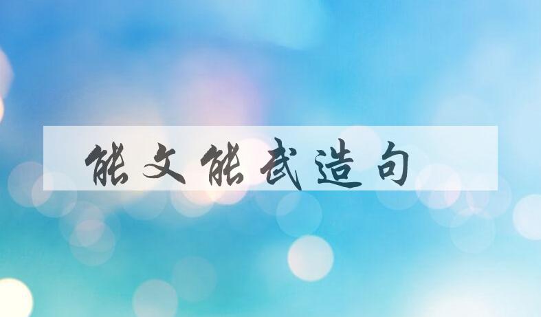 用能文能武造句