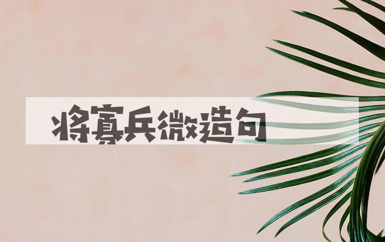 用将寡兵微造句