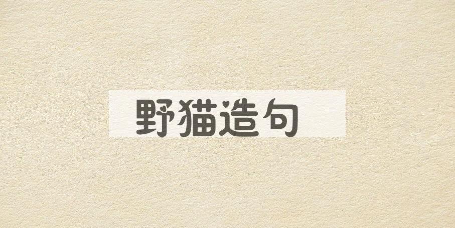 用野猫造句