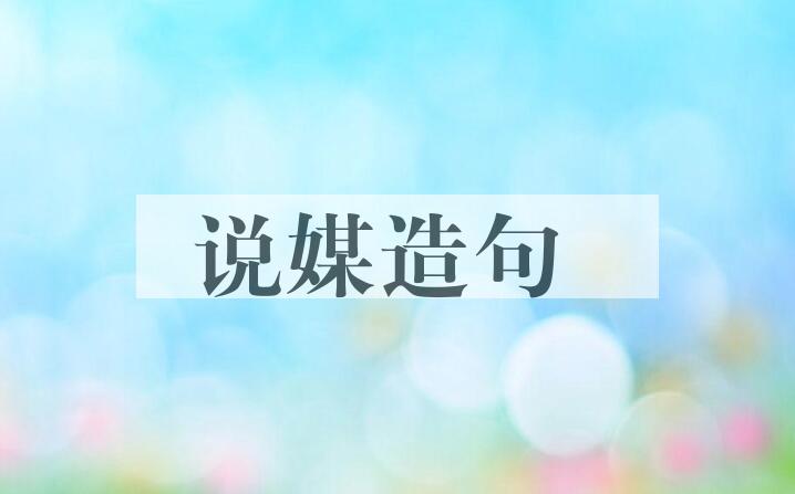 用说媒造句