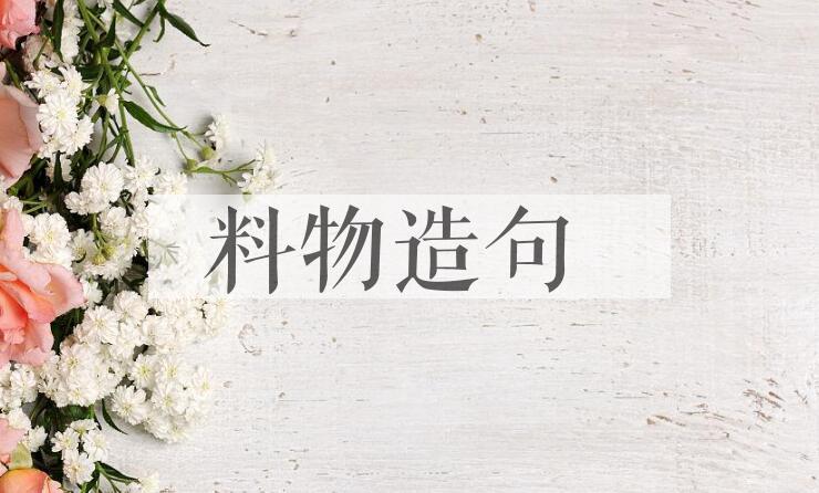 用料物造句