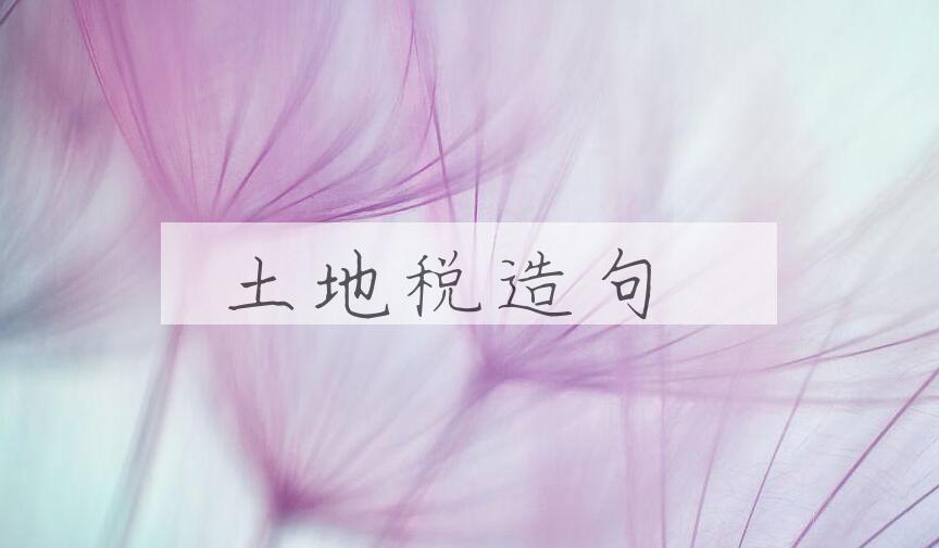 用土地税造句