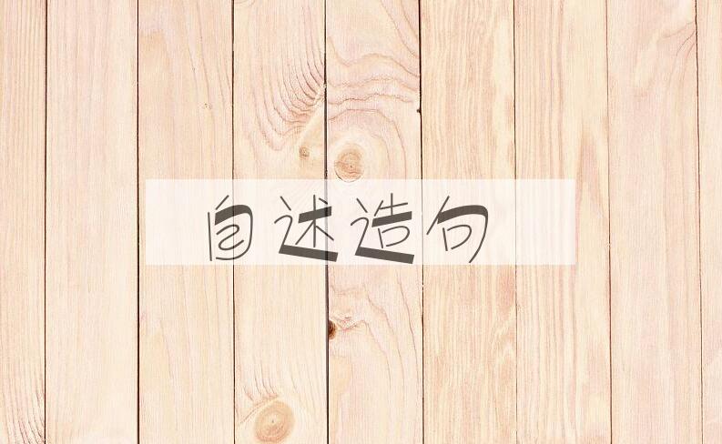 用自述造句