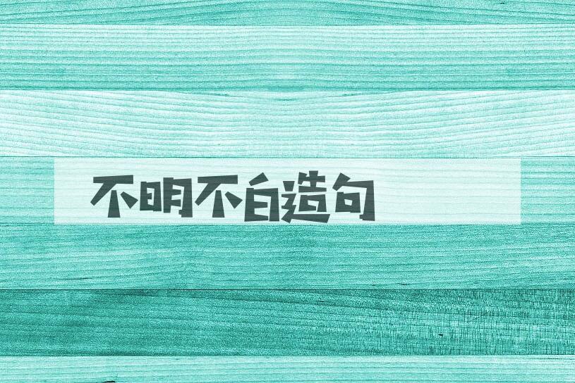 用不明不白造句